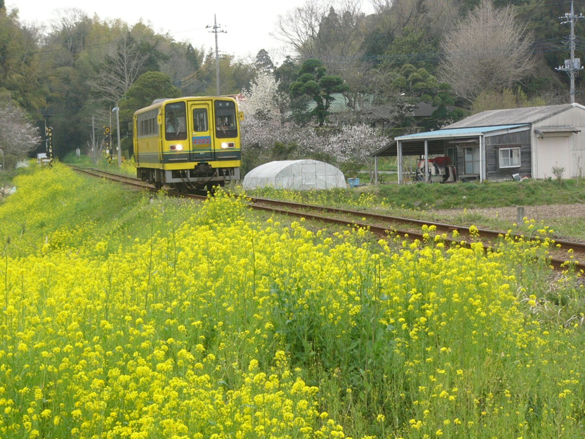 撮影・いすみ鉄道・城見ヶ丘－上総中川