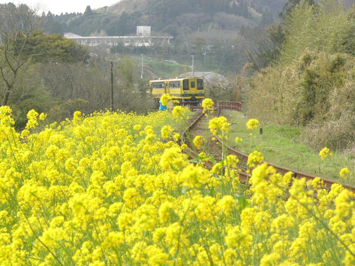 撮影・いすみ鉄道・上総中川－国吉