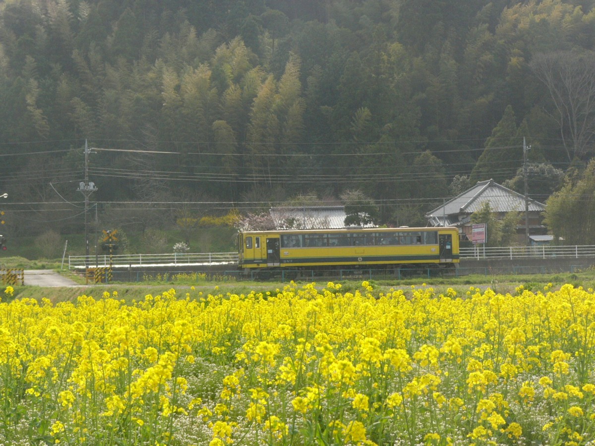 撮影・いすみ鉄道・新田野－上総東