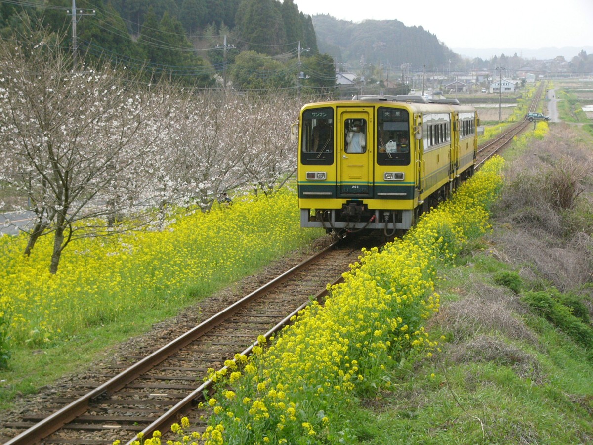撮影・いすみ鉄道・新田野－上総東