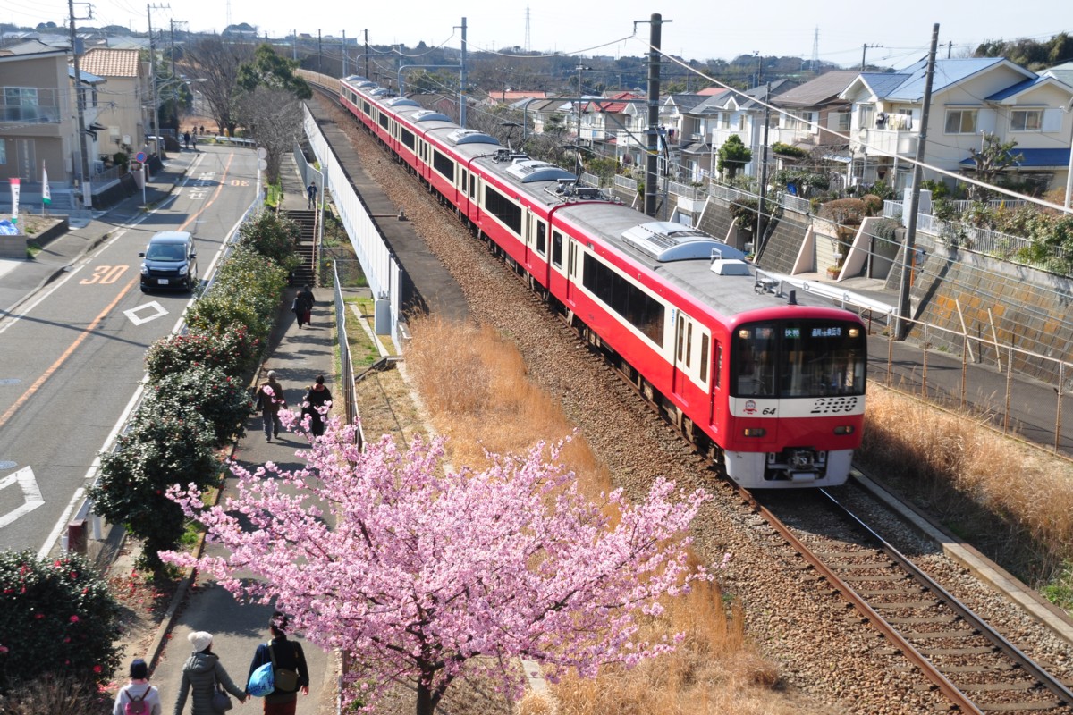 撮影・桜・京浜急行・三浦海岸－三崎口