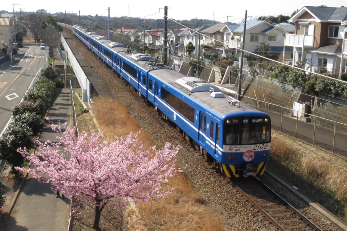 撮影・桜・京浜急行・三浦海岸－三崎口
