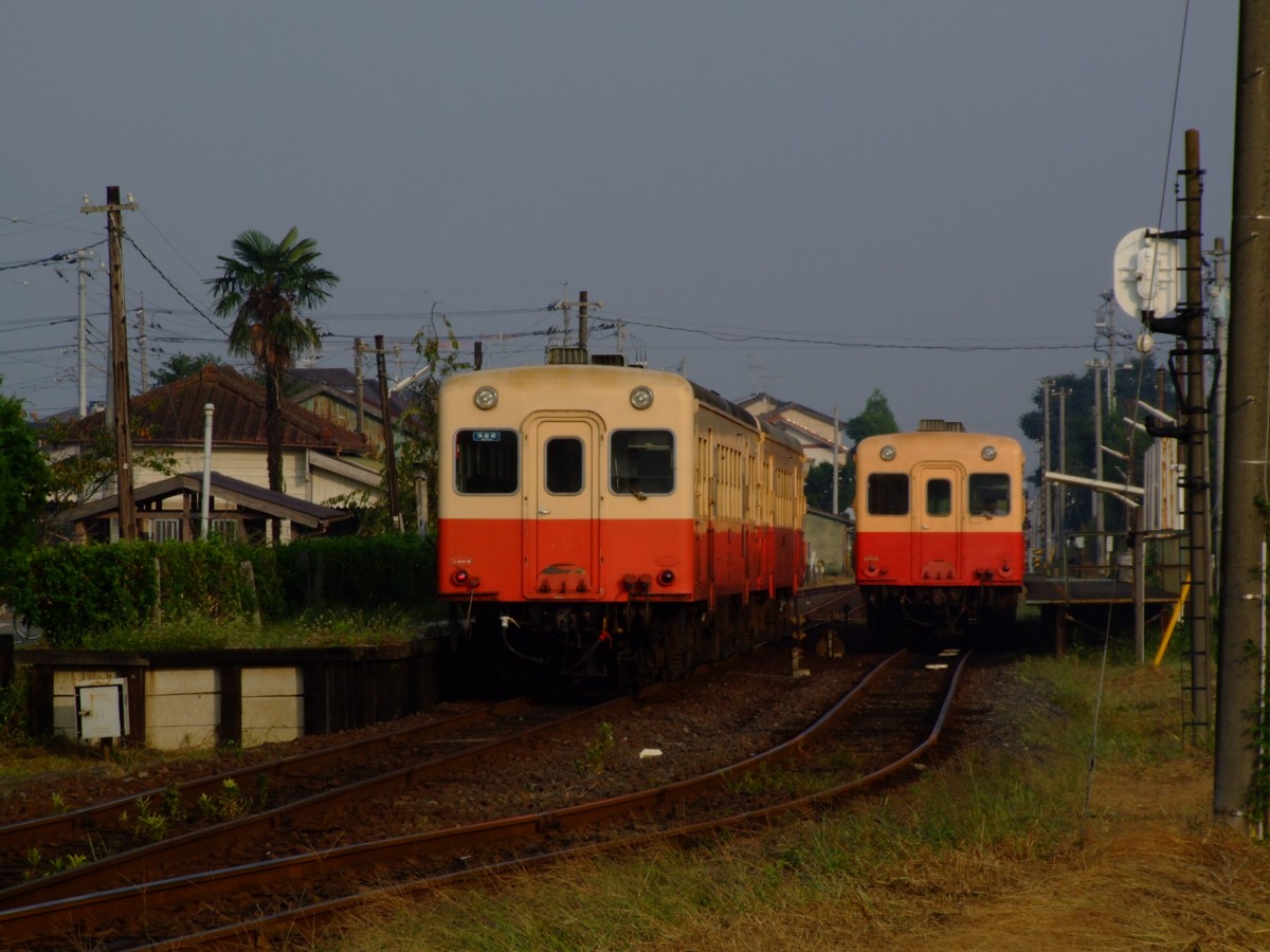 撮影・小湊鐡道・海土有木