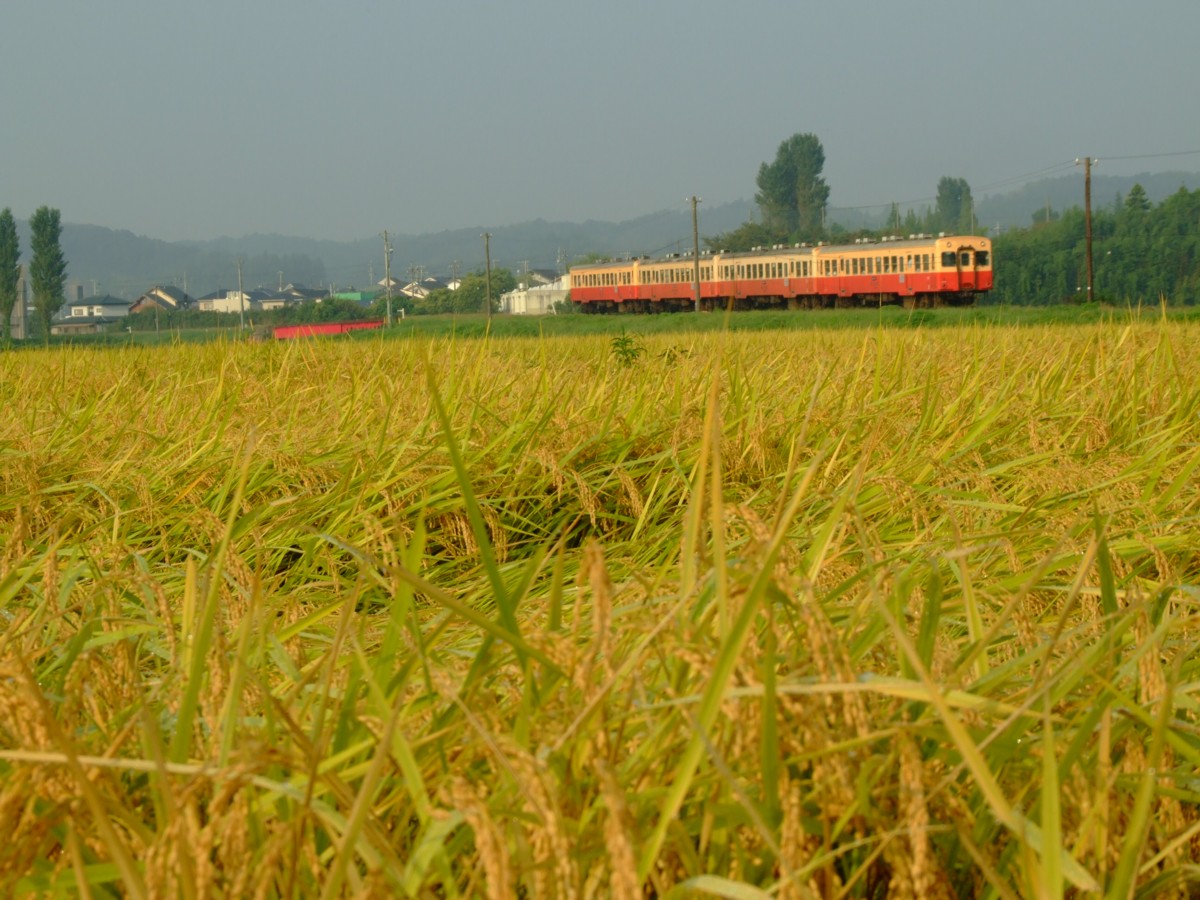 撮影・小湊鐡道・上総山田－光風台