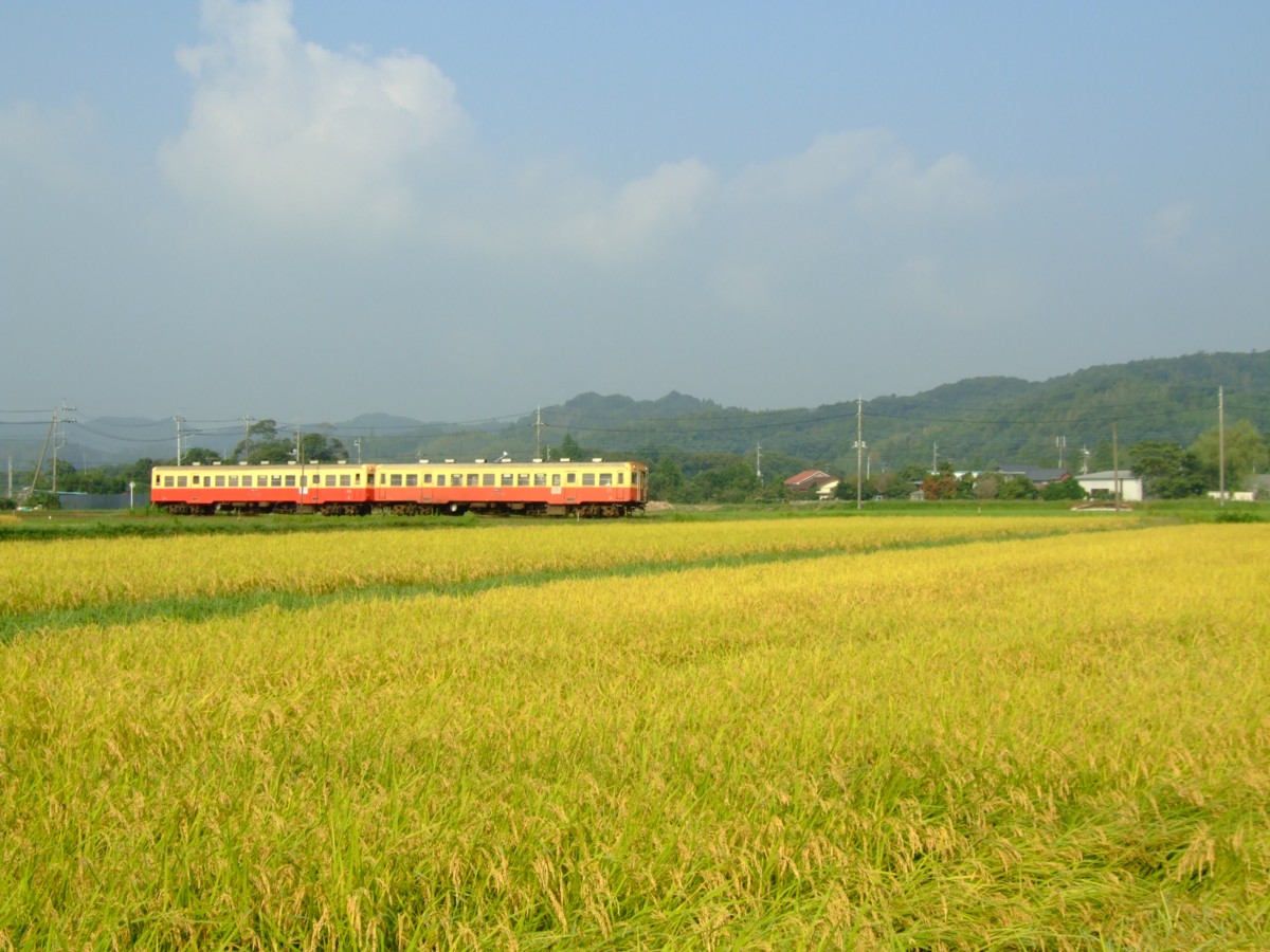 撮影・小湊鐡道・上総鶴舞－上総久保