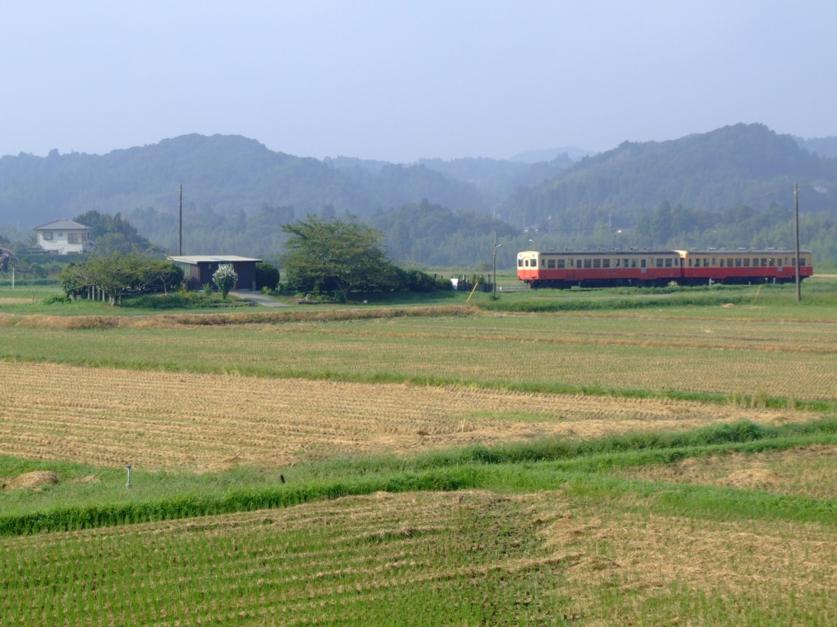 撮影・小湊鐡道・上総川間
