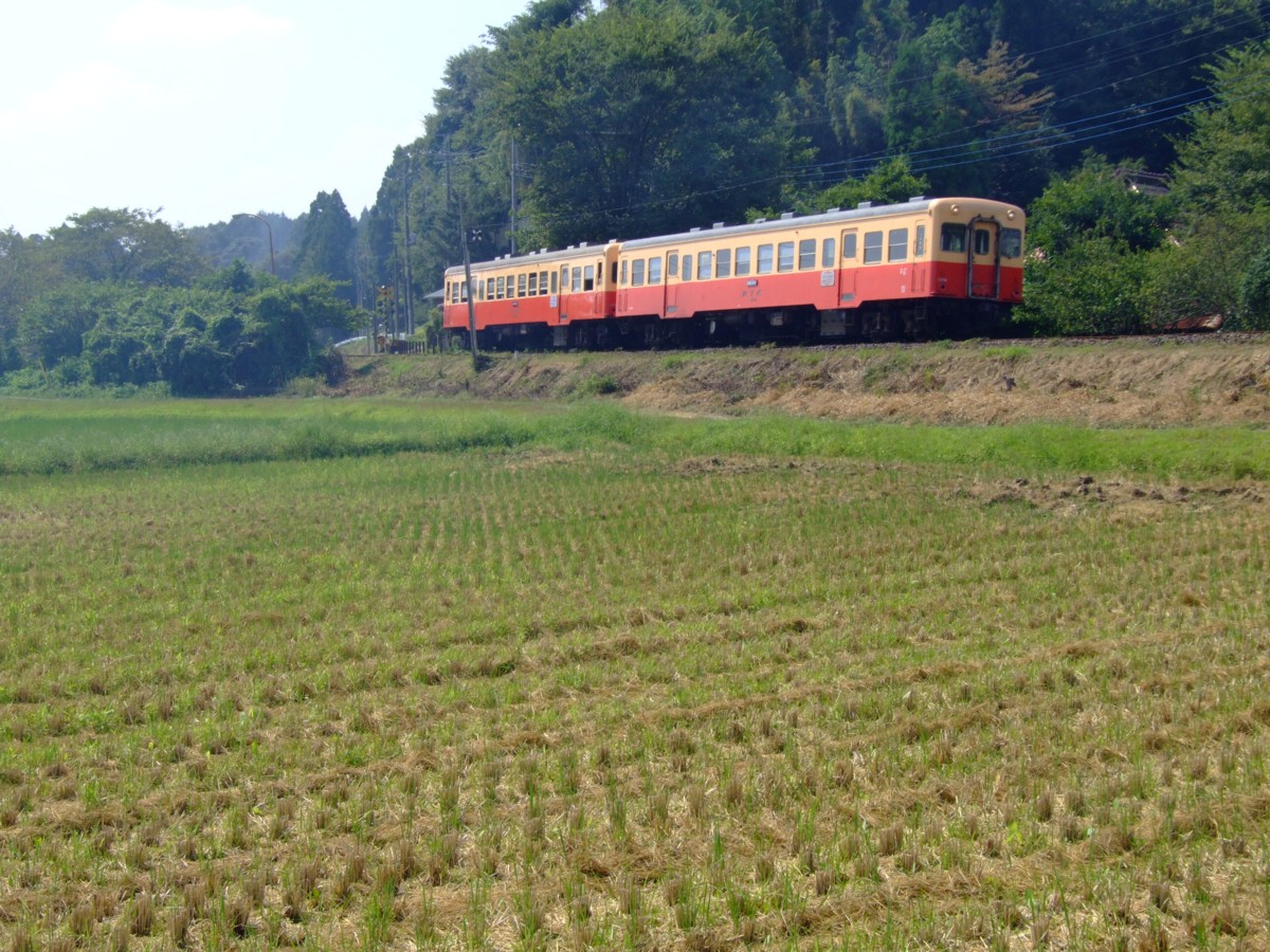 撮影・小湊鐡道・里見－飯給