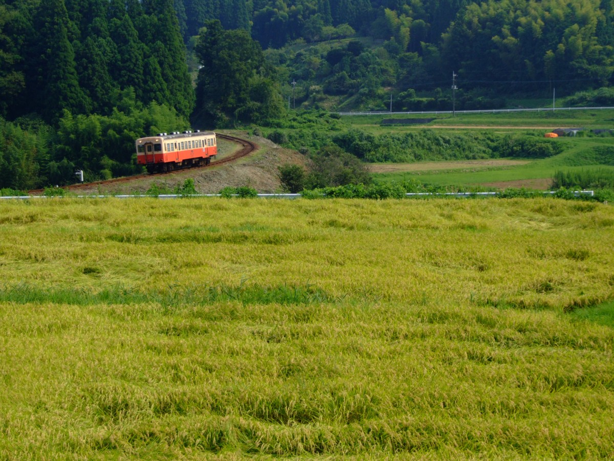 撮影・小湊鐡道・上総大久保