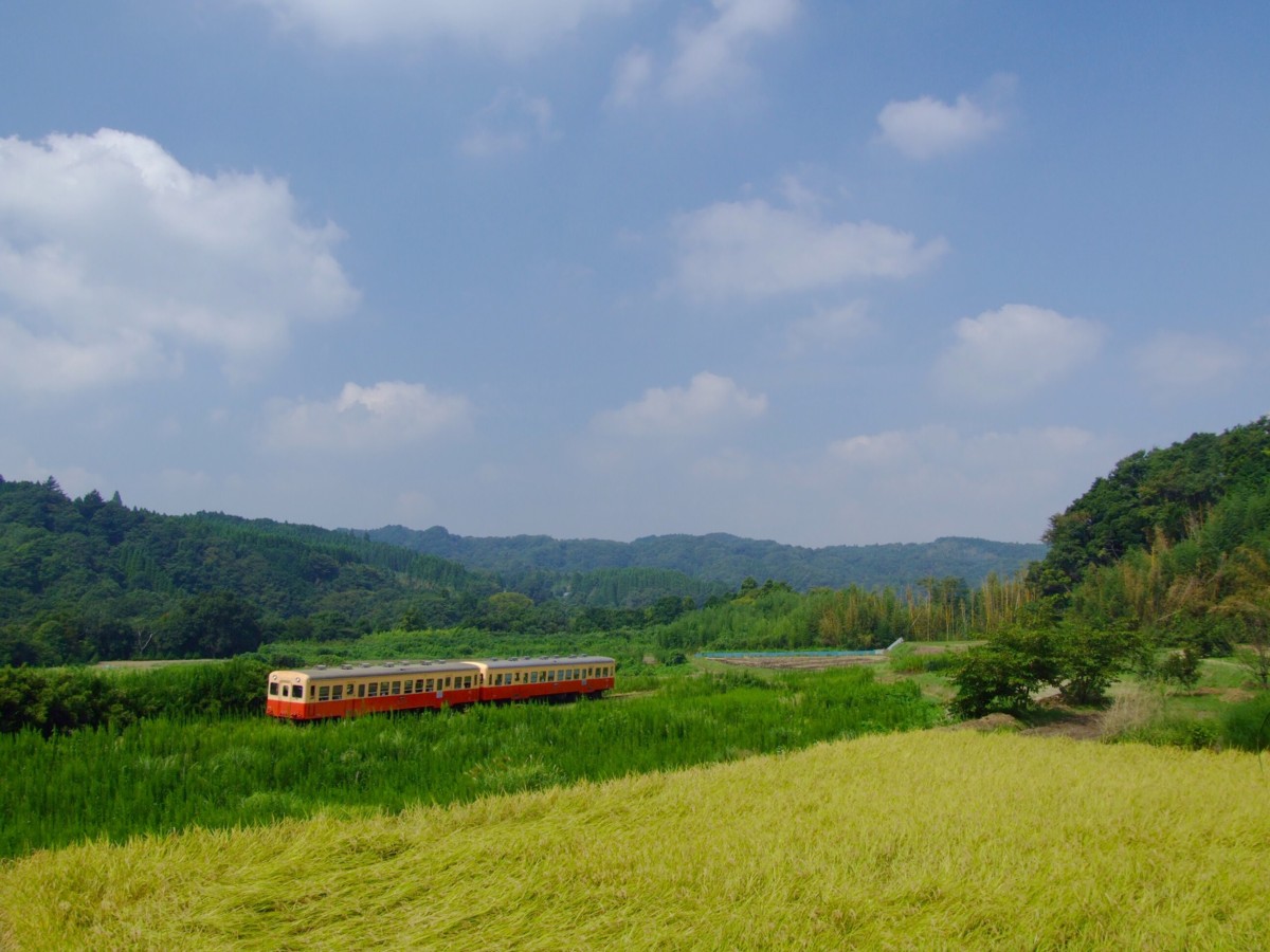 撮影・小湊鐡道・上総大久保－養老渓谷