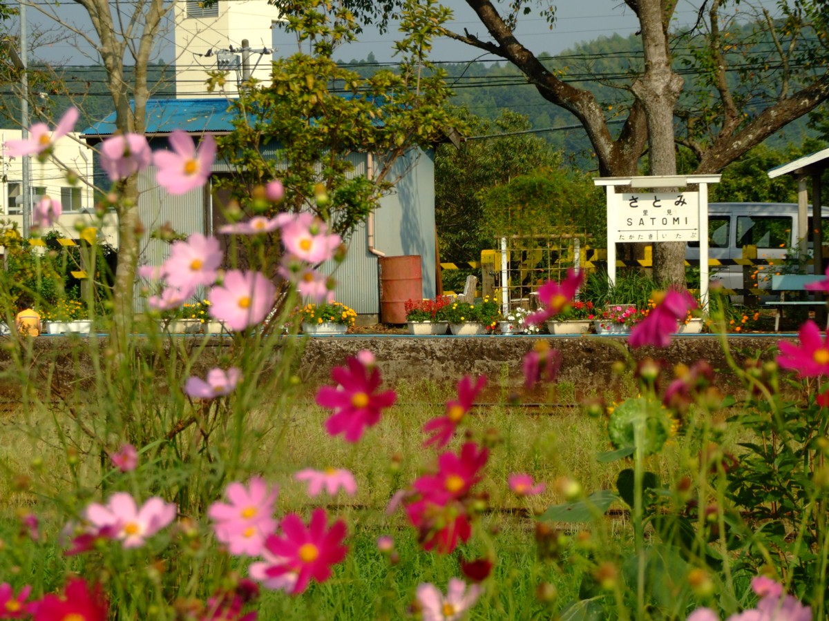 撮影・小湊鐡道・里見