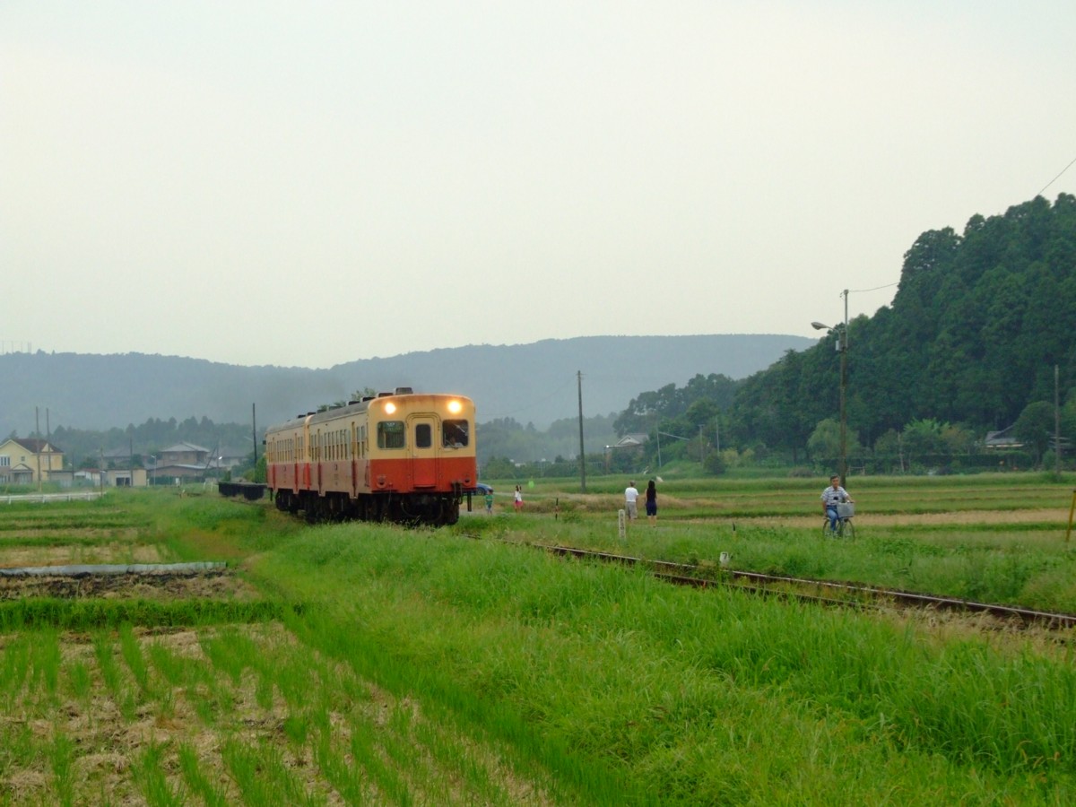撮影・小湊鐡道・上総川間