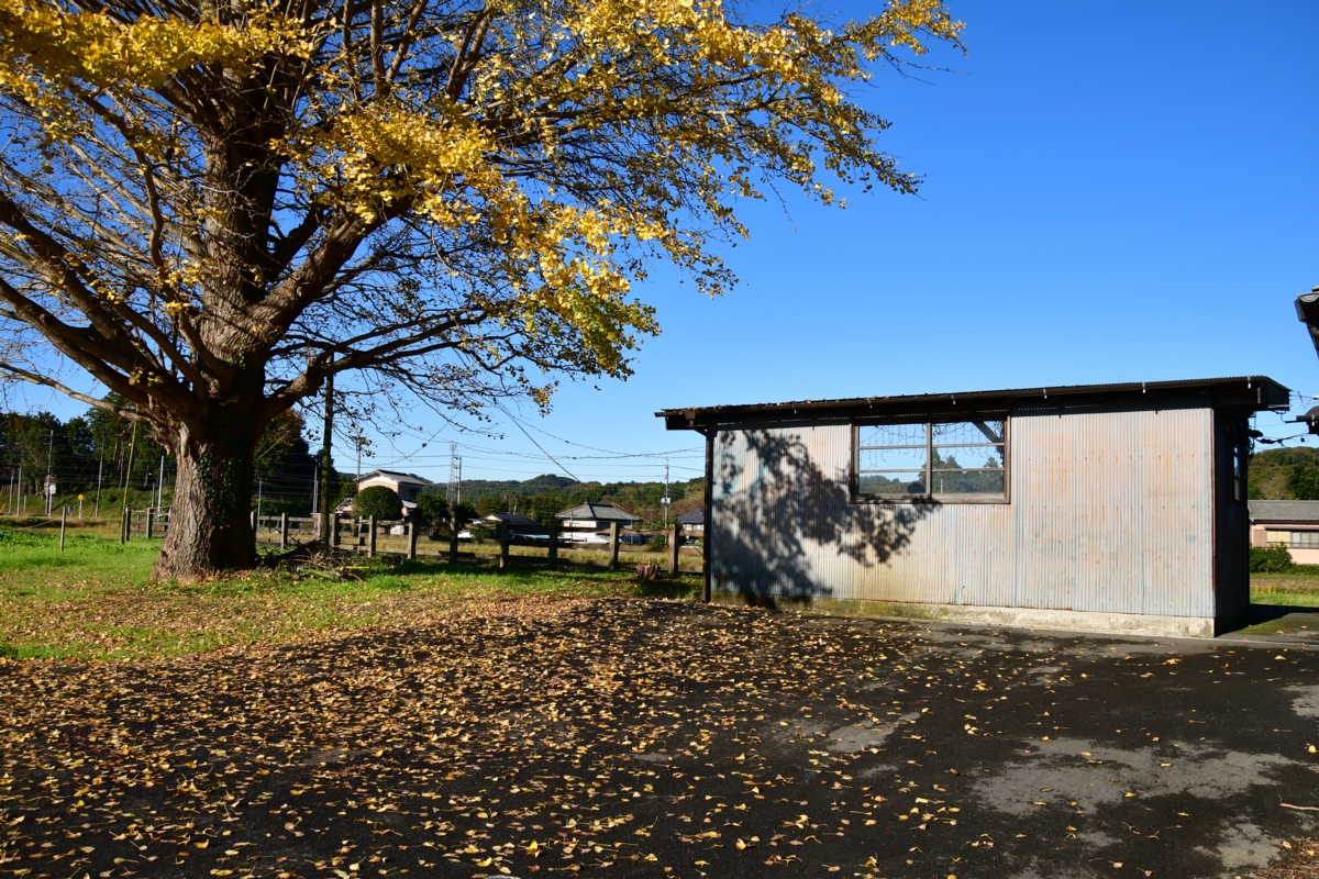 撮影・紅葉・小湊鐵道・上総久保