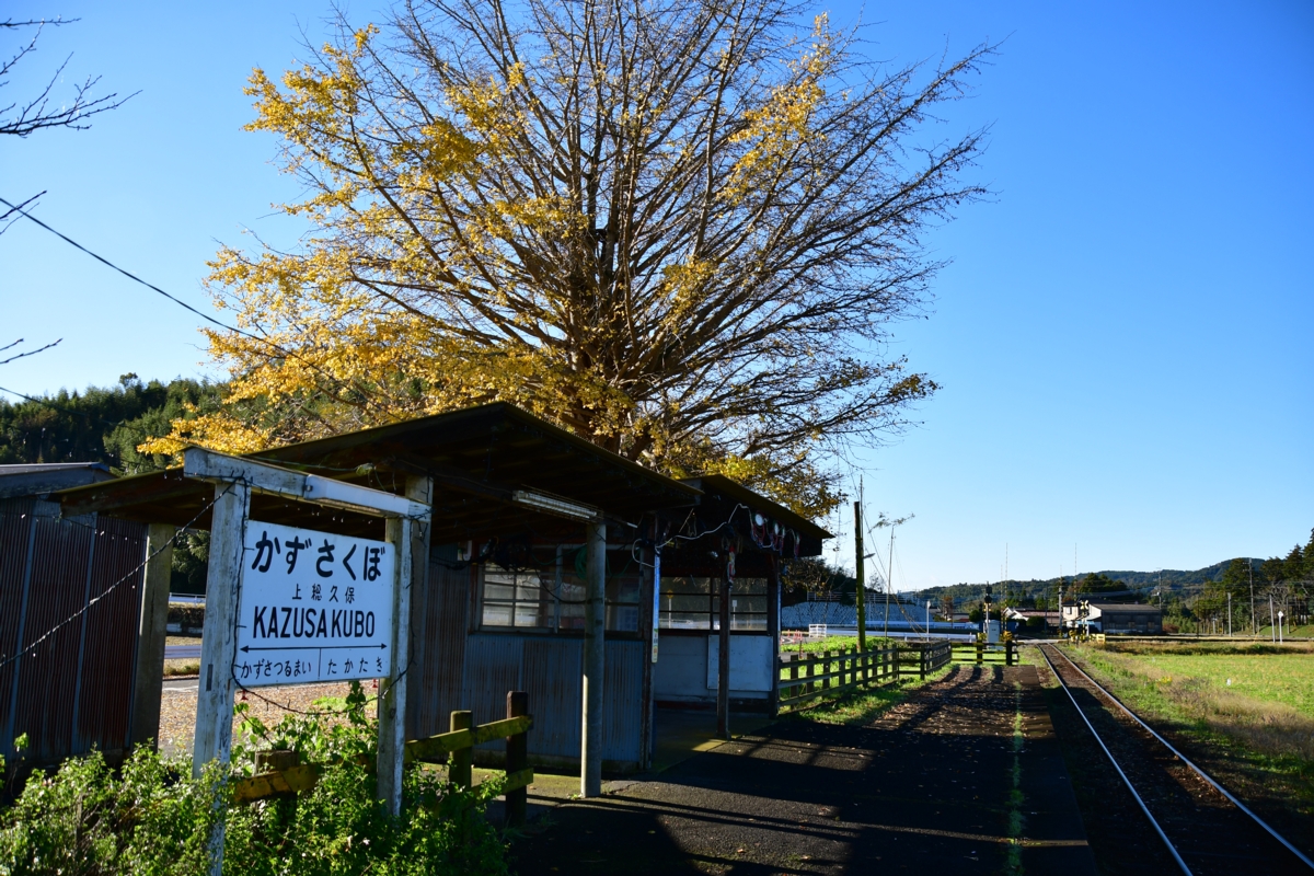 撮影・紅葉・小湊鐵道・上総久保