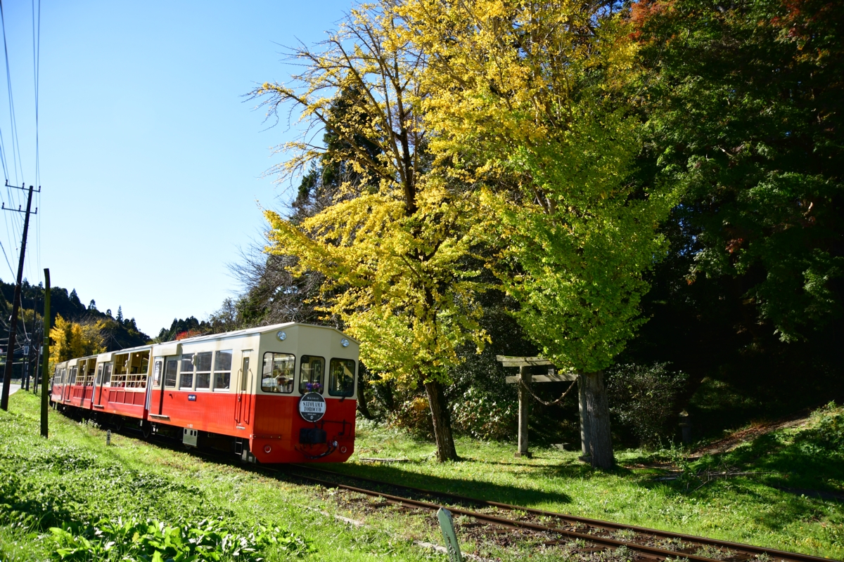 撮影・紅葉・小湊鐵道・里見－飯給・房総里山トロッコ