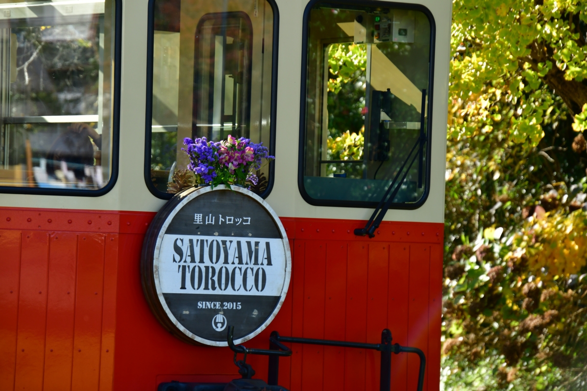 撮影・紅葉・小湊鐵道・里見－飯給・房総里山トロッコ