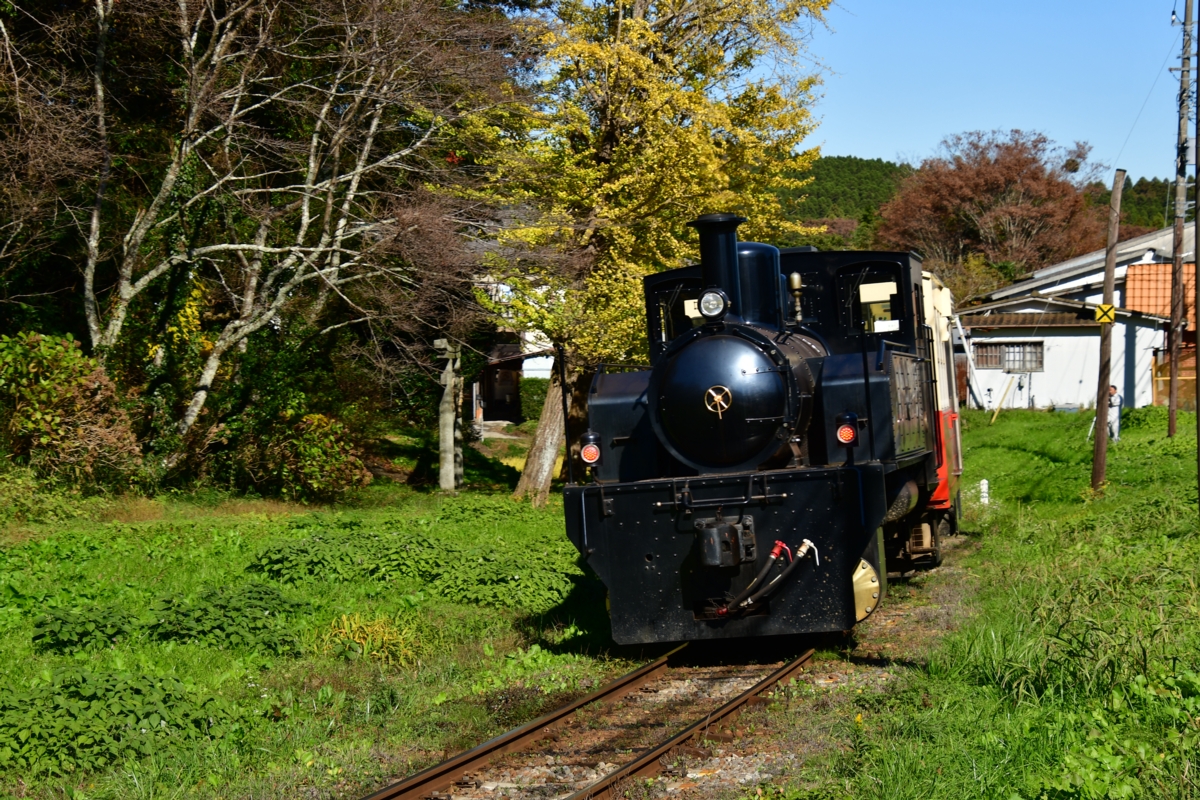 撮影・紅葉・小湊鐵道・里見－飯給・房総里山トロッコ