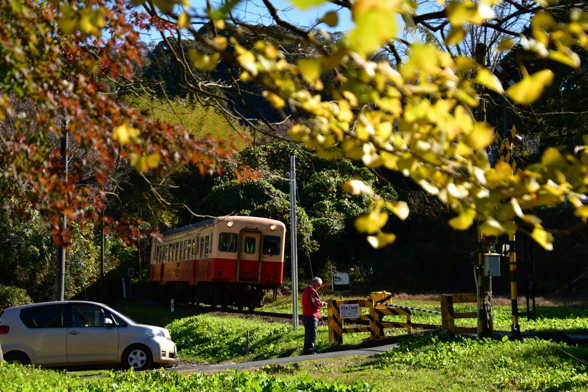 撮影・紅葉・小湊鐵道・上総大久保
