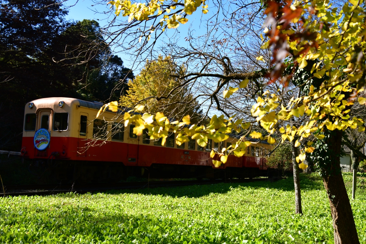 撮影・紅葉・小湊鐵道・上総大久保