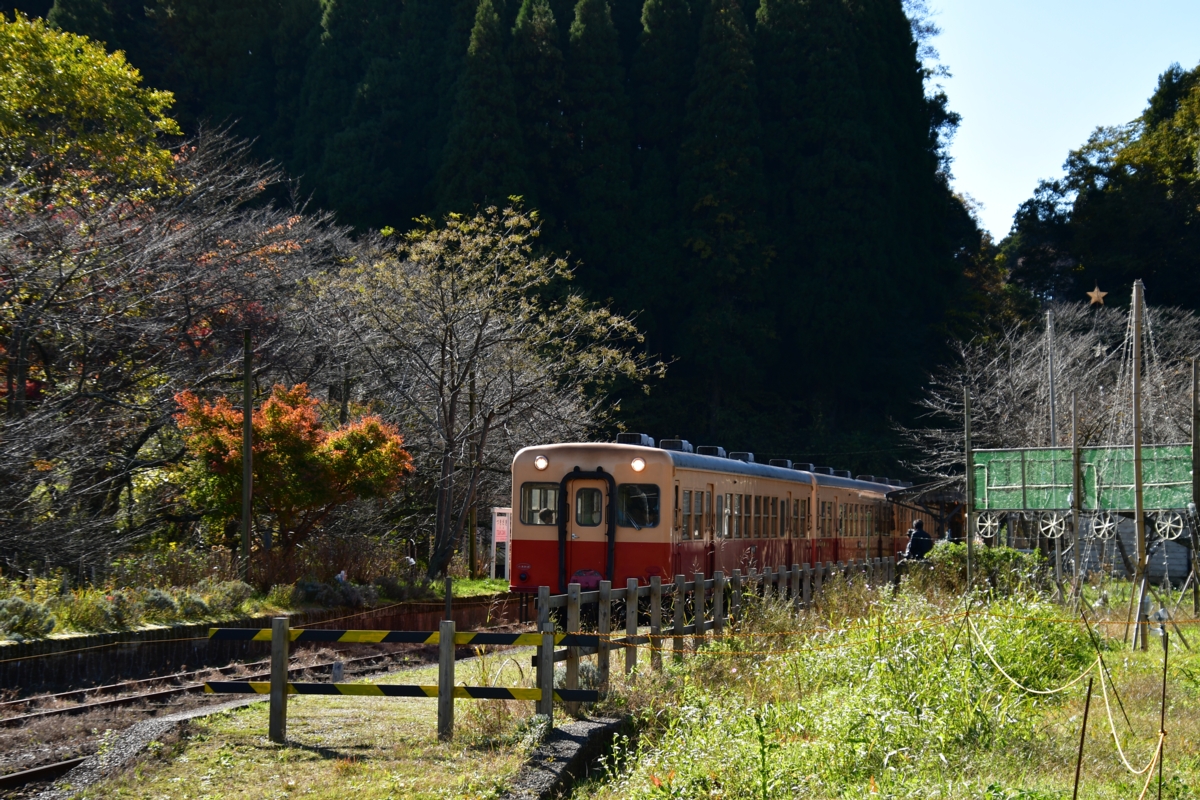 撮影・紅葉・小湊鐵道・月崎
