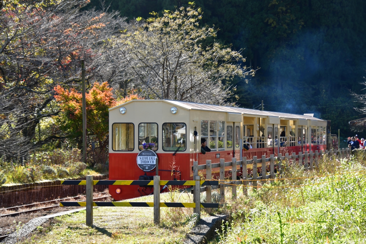 撮影・紅葉・小湊鐵道・月崎・房総里山トロッコ
