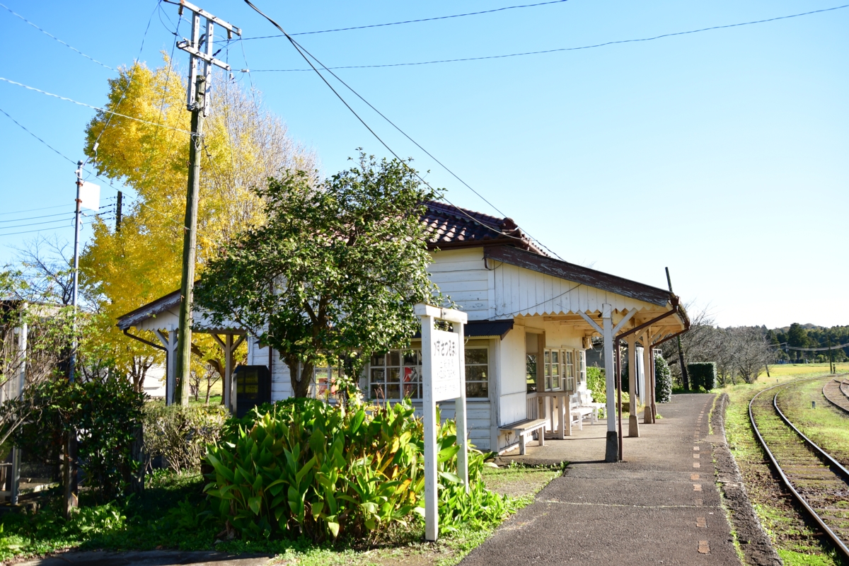 撮影・紅葉・小湊鐵道・上総鶴舞