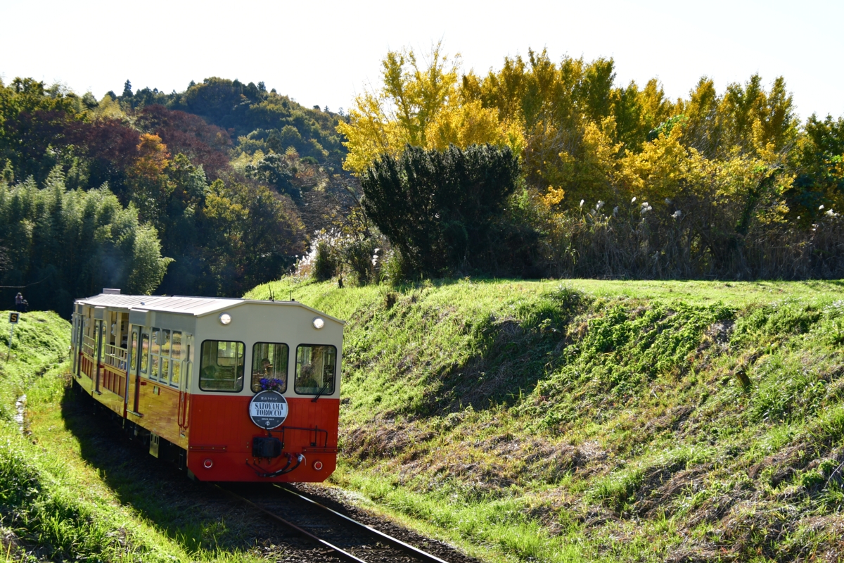 撮影・紅葉・小湊鐵道・上総鶴舞－上総久保・房総里山トロッコ