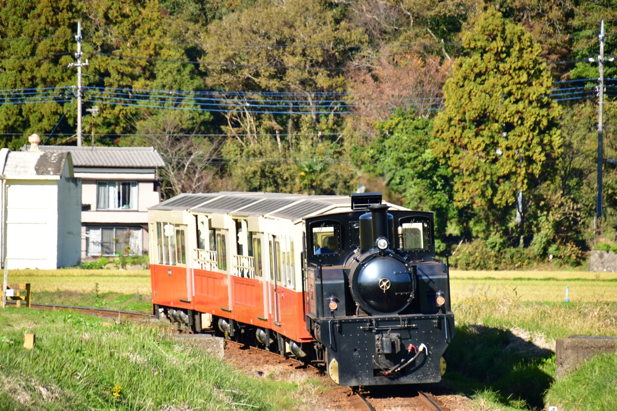 撮影・紅葉・小湊鐵道・上総鶴舞－上総久保・房総里山トロッコ