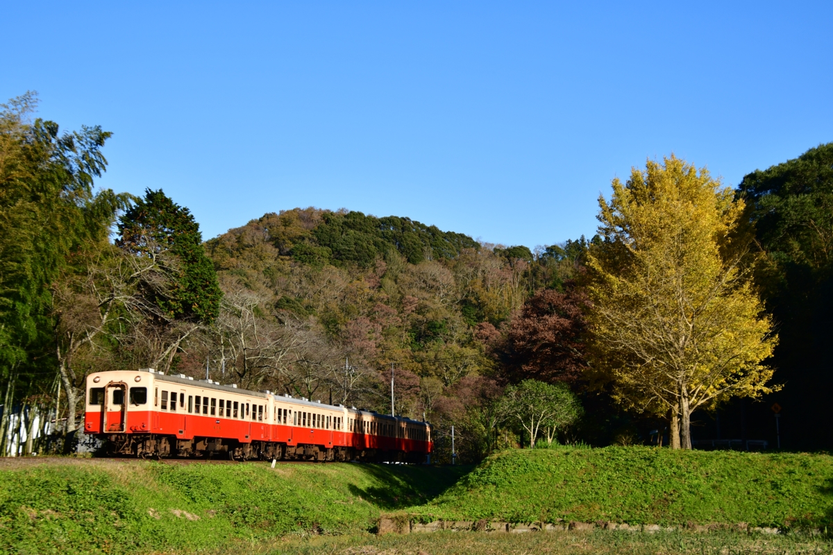 撮影・紅葉・小湊鐵道・上総大久保