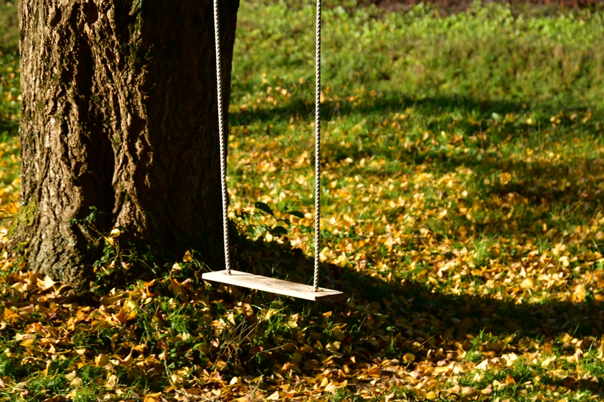 撮影・紅葉・小湊鐵道・上総大久保