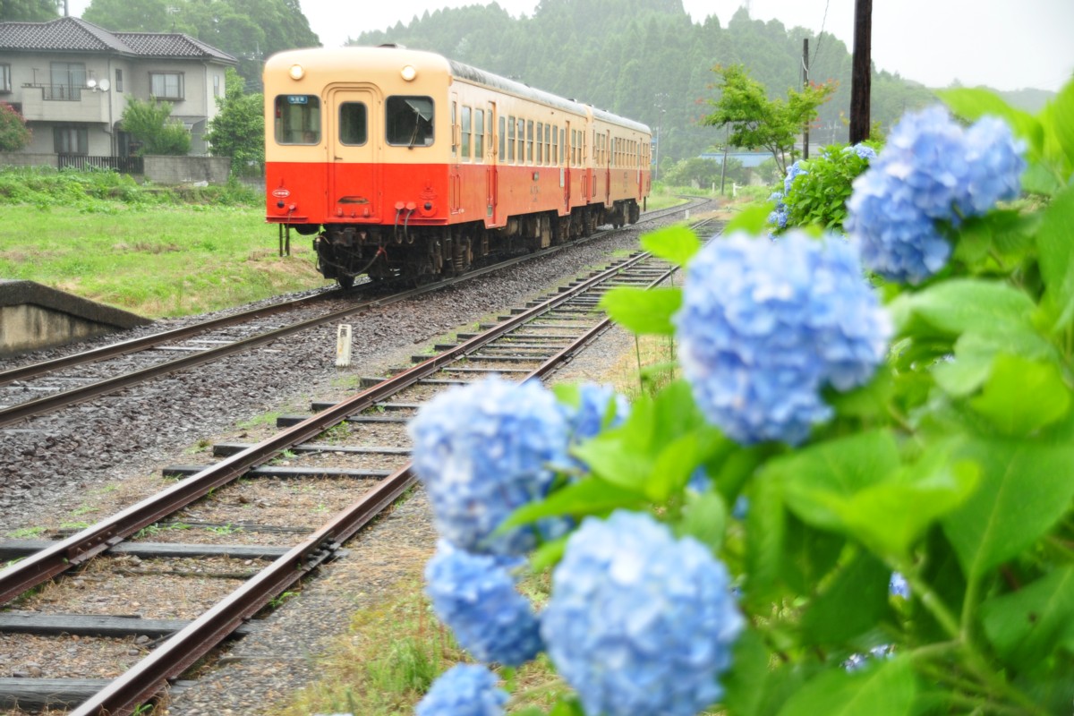 撮影・小湊鐡道・月崎