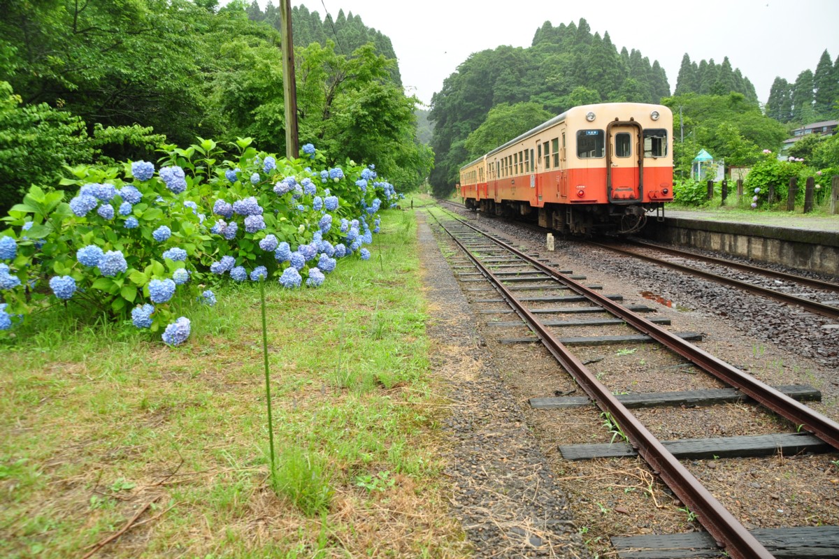 撮影・小湊鐡道・月崎