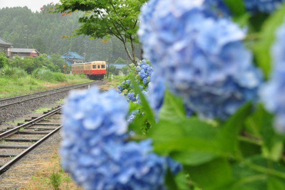 撮影・小湊鐡道・月崎
