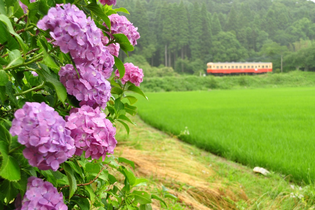 撮影・小湊鐡道・飯給