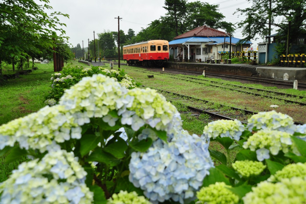撮影・小湊鐡道・里見