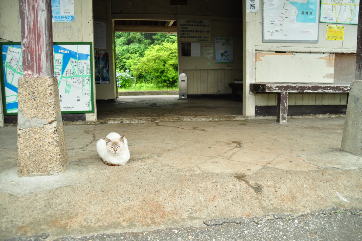 撮影・小湊鐡道・高滝