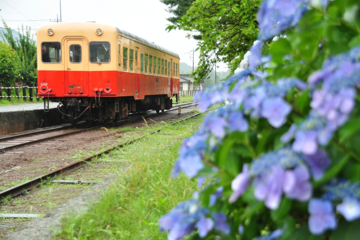 撮影・小湊鐡道・高滝