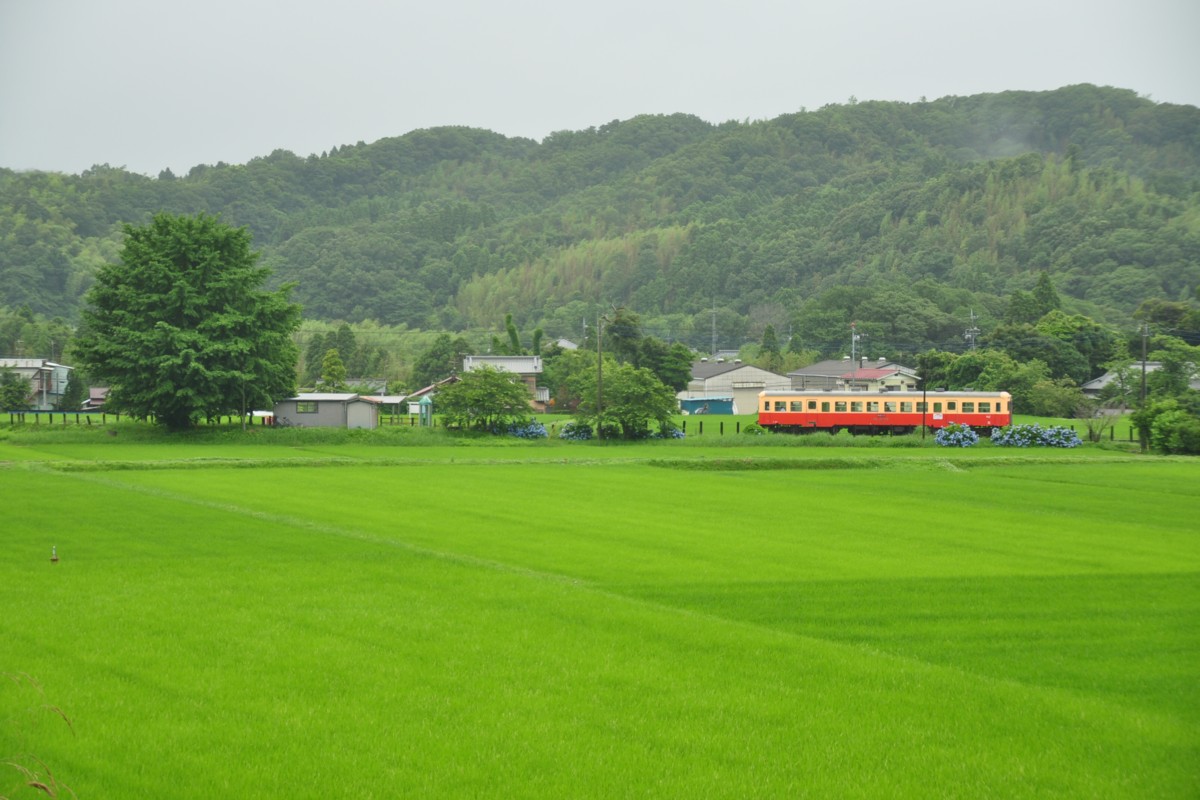 撮影・小湊鐡道・上総久保