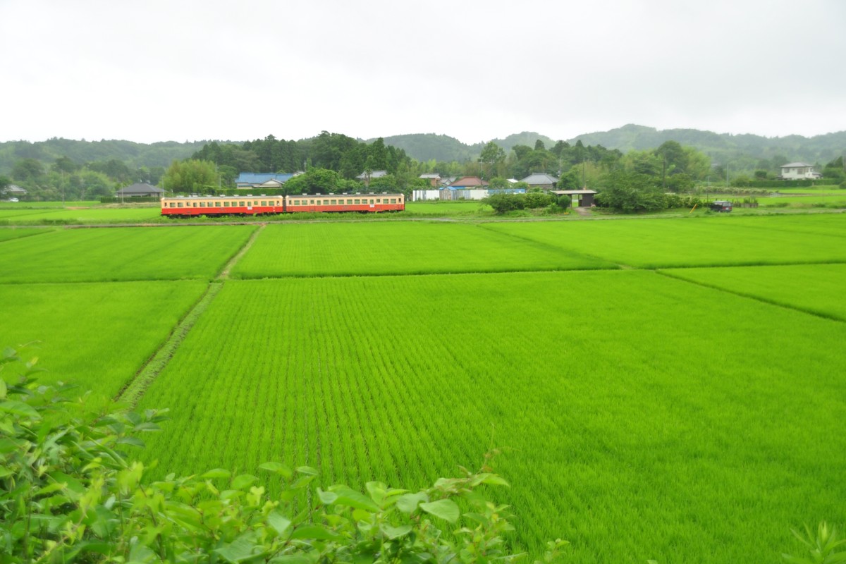 撮影・小湊鐡道・上総川間