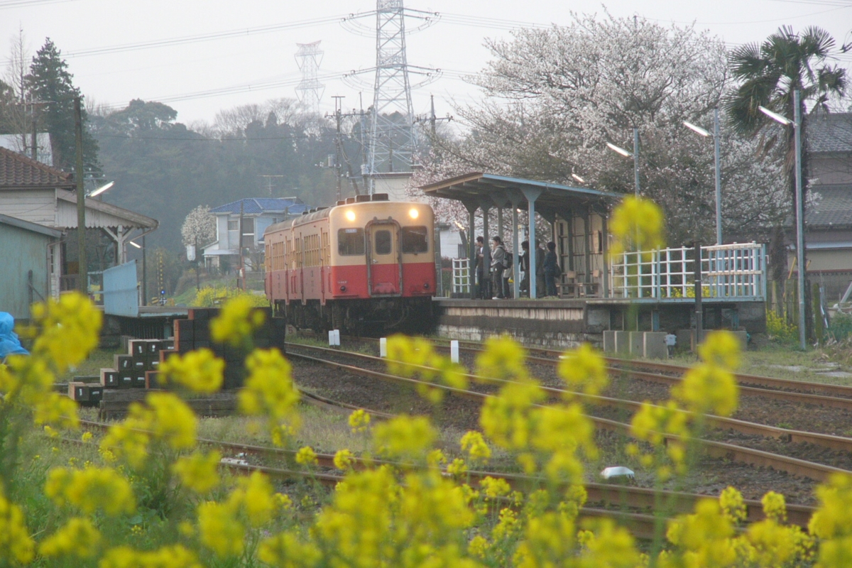 撮影・小湊鐡道・馬立