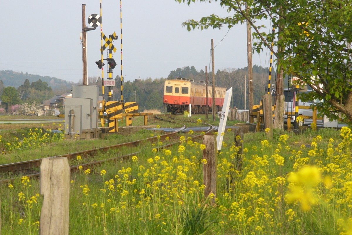 撮影・小湊鐡道・上総鶴舞