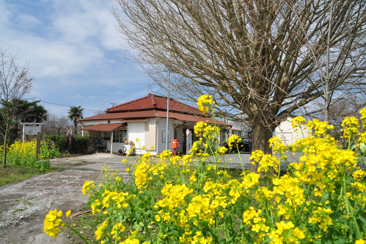 撮影・小湊鐡道・上総鶴舞