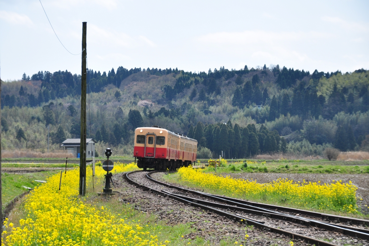 撮影・小湊鐡道・上総鶴舞