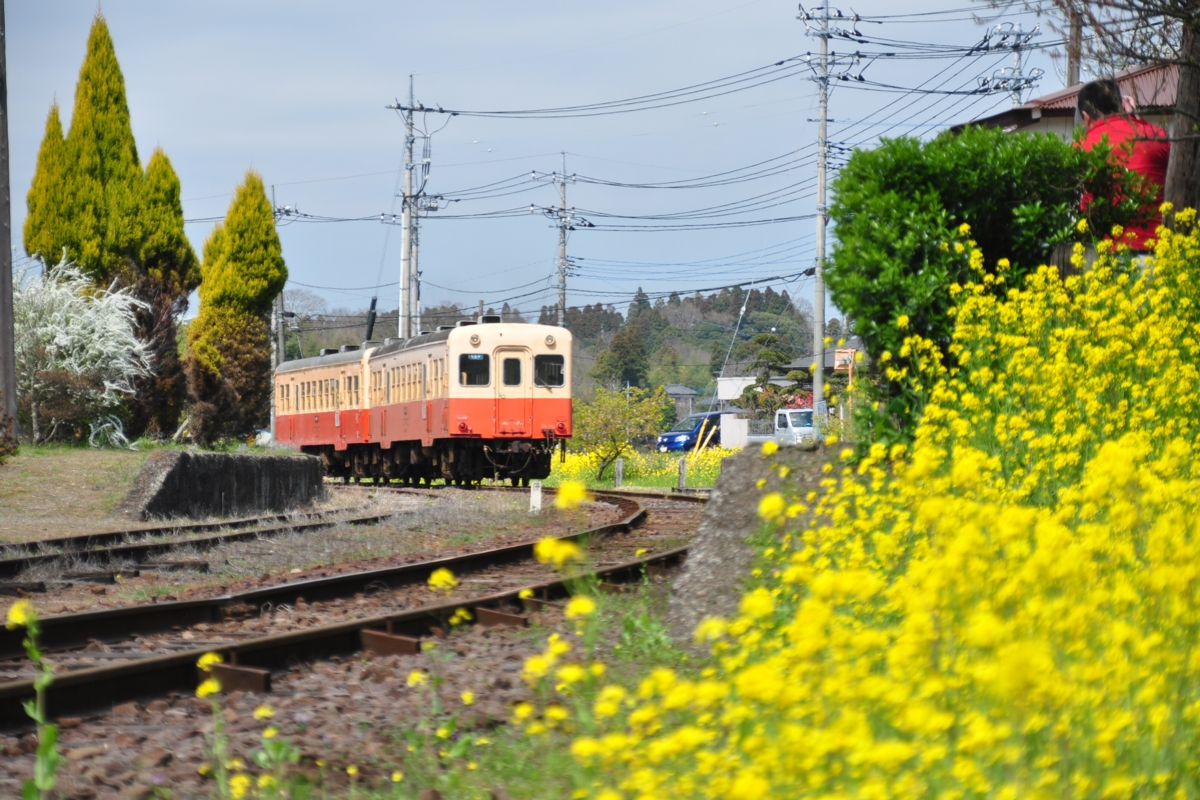 撮影・小湊鐡道・上総鶴舞