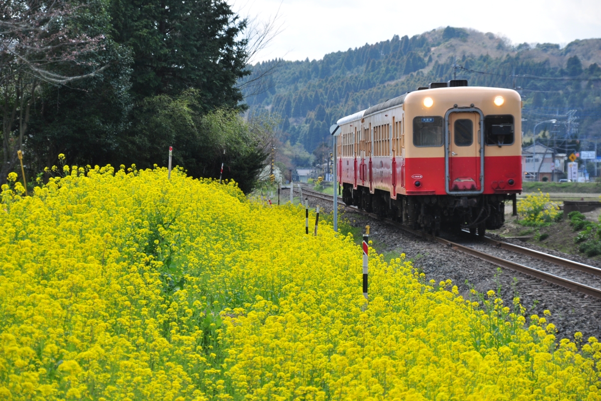 撮影・小湊鐡道・高滝