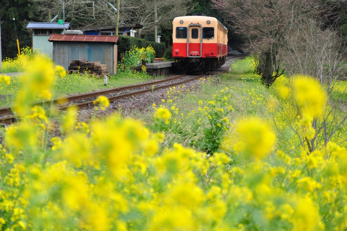 撮影・小湊鐡道・飯給