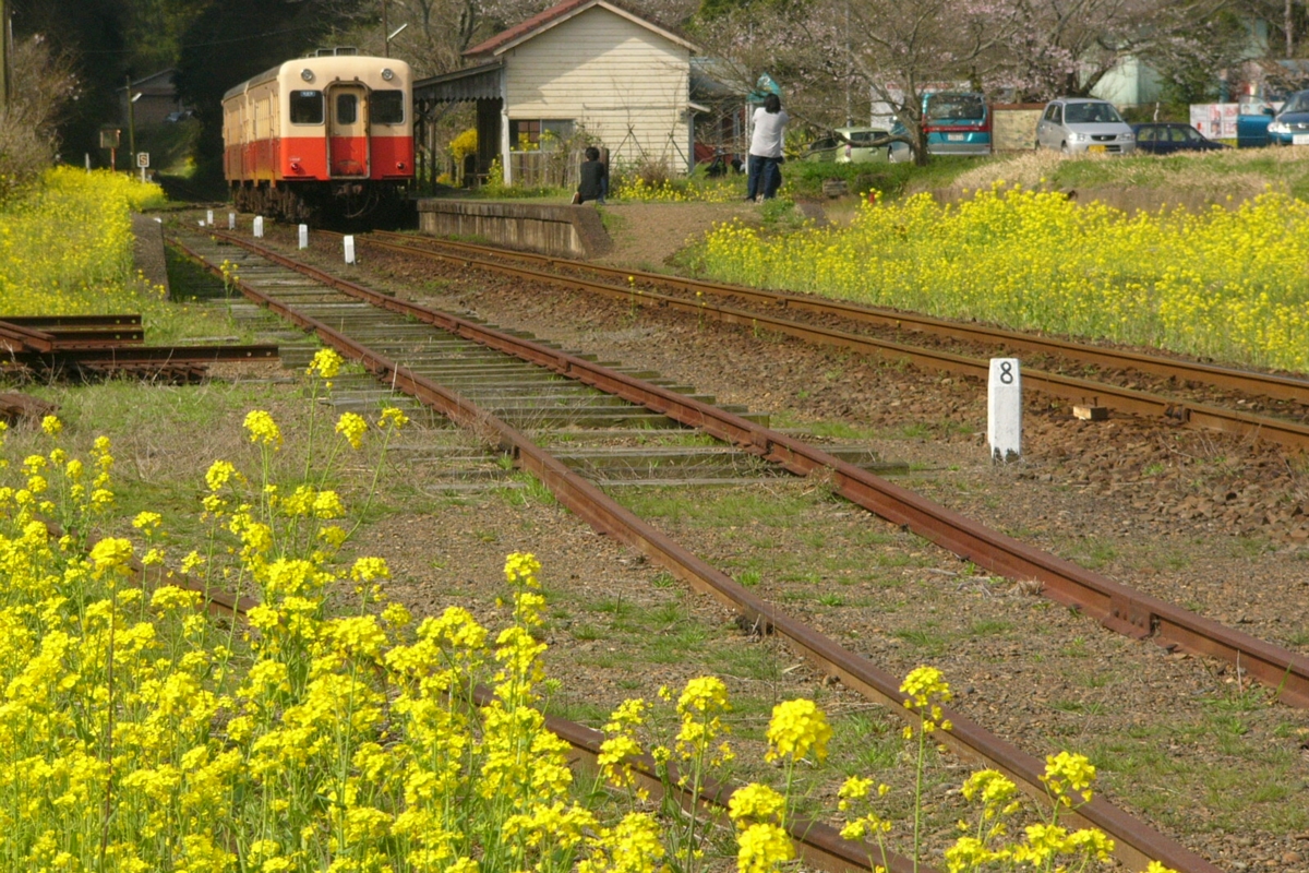 撮影・小湊鐡道・月崎
