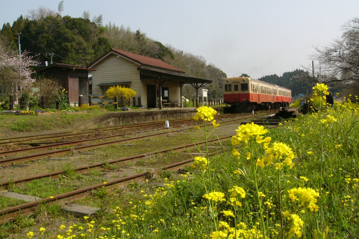 撮影・小湊鐡道・月崎