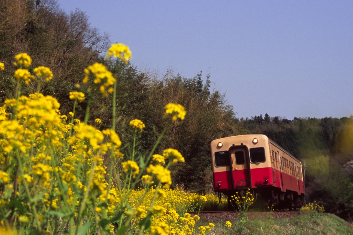 撮影・小湊鐡道・上総大久保