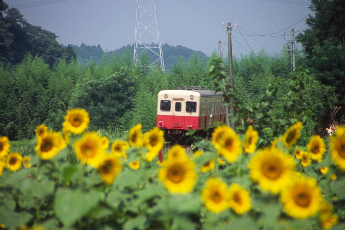 撮影・小湊鐡道・馬立－上総牛久