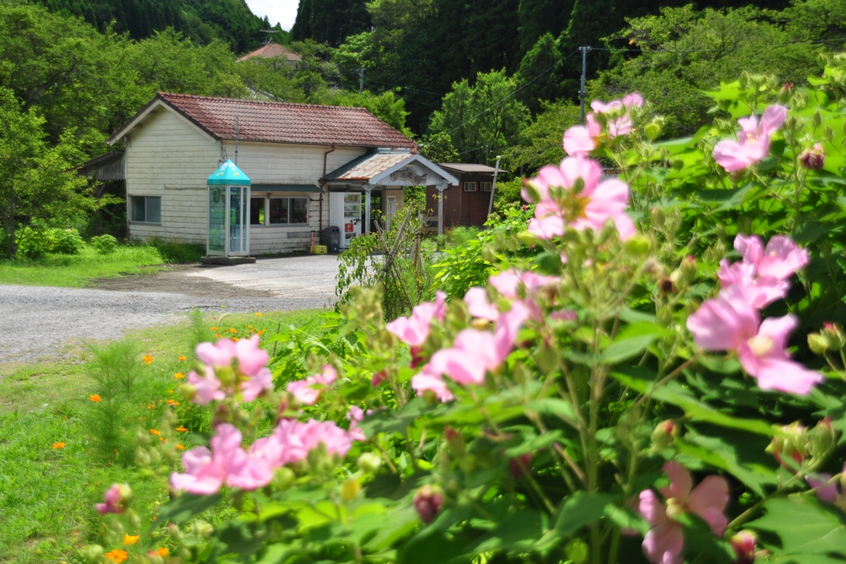 撮影・小湊鐡道・月崎